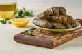 Stuffed grape leaves  rolls dolma. Traditional middetarean ,caucasian ,turkish and arabic  cuisine  . Closeup Royalty Free Stock Photo