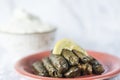 Stuffed grape leaves -Sarma- dish up with a lemon slice and a bowl of homemade yogurth on a white background, close up.