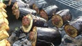 Stuffed grilled eggplants Royalty Free Stock Photo