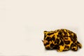 Stuffed leopard soft toy isolated on a plain white background Royalty Free Stock Photo