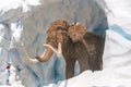 stuffed mammoth model in an ice cave Royalty Free Stock Photo