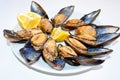 Stuffed mussels in a white dish, midye dolma. Turkish cuisine. Snack. Royalty Free Stock Photo