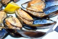 Stuffed mussels in a white dish, midye dolma. Turkish cuisine. Snack. Royalty Free Stock Photo