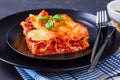 Stuffed pasta manicotti with bolognese on a plate Royalty Free Stock Photo