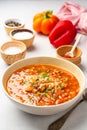 Stuffed pepper soup in bowl on concrete background Royalty Free Stock Photo