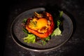 stuffed peppers with egg on dark background Royalty Free Stock Photo