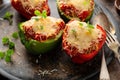 Stuffed peppers with ground beef filling on a plate Royalty Free Stock Photo