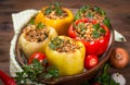 Stuffed peppers with meat and rice Royalty Free Stock Photo