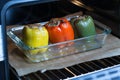 Stuffed peppers in the oven Royalty Free Stock Photo