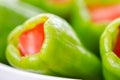 Stuffed peppers in pot ready for cooking Royalty Free Stock Photo