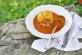 Stuffed peppers with ground meat and rice in tomato sauce Royalty Free Stock Photo