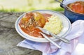 Stuffed peppers with ground meat and rice in tomato sauce Royalty Free Stock Photo