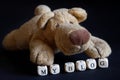 The stuffed plush toy is a friendly dog next to my blog sign. The concept of a blog site for a pet