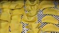 stuffed ravioli made with fresh pasta during the drying phase Royalty Free Stock Photo