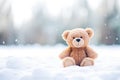 stuffed teddy bear sitting in the snow