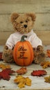 Bear sitting with a pumpkin on a wood background