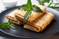 Stuffed thin pancakes rolled into rolls are grilled on a black plate with mint.