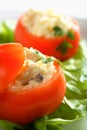 Stuffed tomatoes with carp Royalty Free Stock Photo