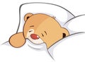 A stuffed toy bear cub cartoon Royalty Free Stock Photo