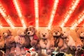 Stuffed toy bears on display awarded as winning prizes at Christmas funfair winter wonderland Royalty Free Stock Photo