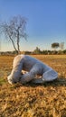 Stuffed toy elephant left on the grass in a park Royalty Free Stock Photo