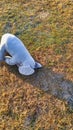 Stuffed toy elephant left on the grass in a park Royalty Free Stock Photo