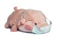Stuffed toy pig with a medical face mask isolated on white background Royalty Free Stock Photo