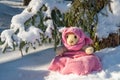 A stuffed toy teddy bear wearing a scarf and a hat sits on snow in the winter forest on a sunny day. Royalty Free Stock Photo