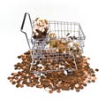 Stuffed Toys in Cart Royalty Free Stock Photo