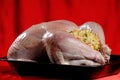 Stuffed Turkey Royalty Free Stock Photo