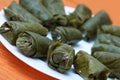 Stuffed vine leaves Royalty Free Stock Photo