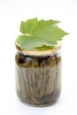 Stuffed vine leaves Royalty Free Stock Photo