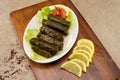 Stuffed vine leaves , Lebanese Cuisine Royalty Free Stock Photo