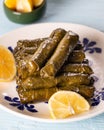 Stuffed vine leaves with lemon/sarma/dolma from Turkish and Greek cuisine Royalty Free Stock Photo