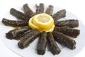 Stuffed vine leaves on a plate Royalty Free Stock Photo