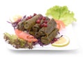 Stuffed vine leaves plate - lebanese cuisine