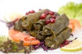 Stuffed vine leaves plate ,lebanese cuisine Royalty Free Stock Photo