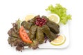 Stuffed vine leaves plate lebanese cuisine. Royalty Free Stock Photo