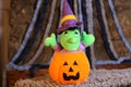 Stuffed witch inside carved pumpkin Royalty Free Stock Photo