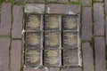 Stumbling stones, or stolpersteine are memorial brass plates placed into the pavement outside certain houses or deportation zones