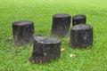Stump chair Royalty Free Stock Photo