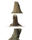 Stump dead tree isolated on white 3d illustration