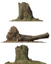 Stump dead tree isolated on white 3d illustration