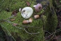 The stump in forest is completely covered with green moss, on the stump acorns, Mushrooms