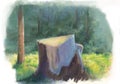 Stump in forest painting style illustration.Beautiful Nature scene with stub,tree Royalty Free Stock Photo