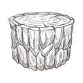 Stump from forest or woods, wooden raw material isolated sketch