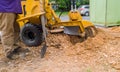 stump grinder tree cut nature is destroyed action Royalty Free Stock Photo