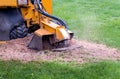 Stump grinder eating up a stump Royalty Free Stock Photo