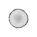 Stump icon or logo, Black tree rings icon