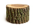 Stump isolated Royalty Free Stock Photo